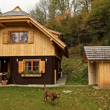 Villa Rainbachhuette-Waldgut Granig à Glodnitz Extérieur photo