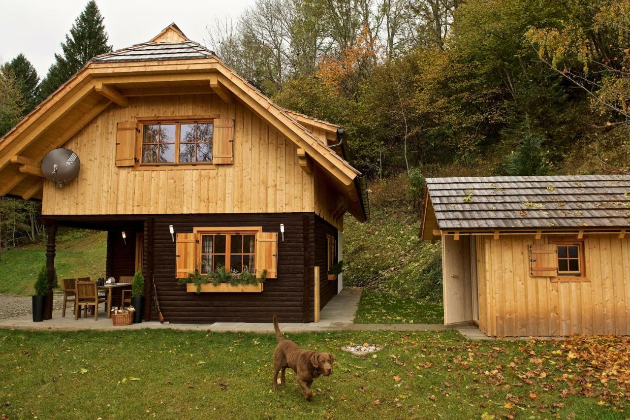 Villa Rainbachhuette-Waldgut Granig à Glodnitz Extérieur photo
